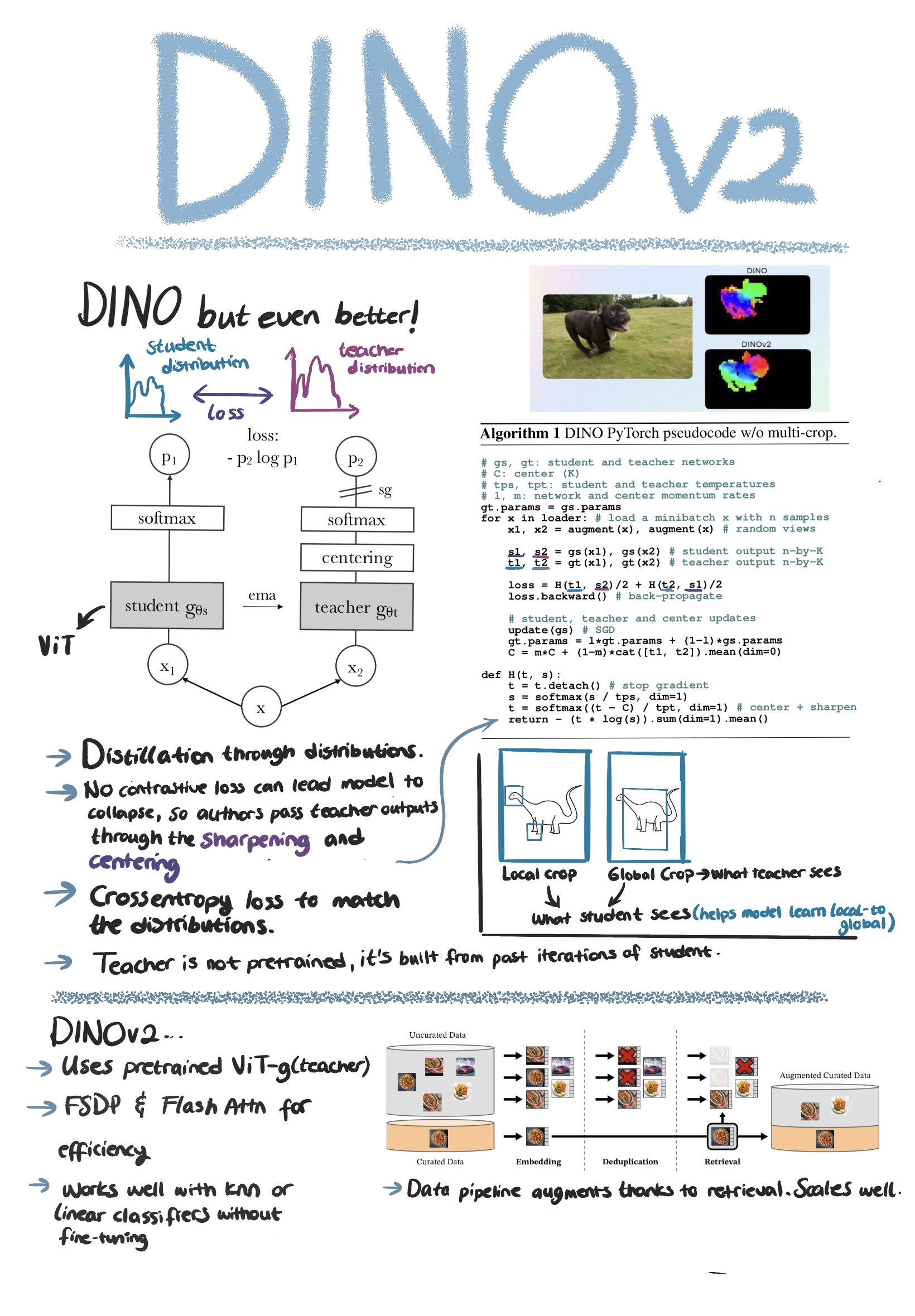 DINOv2: A Deep Dive into Architecture and Training
